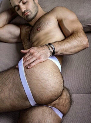 hairy-men-butt-xxx.jpg