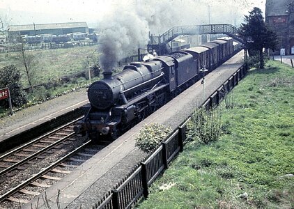 IMG_9412_Original.jpeg IMG_9412_Original.jpeg