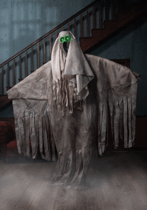 1698190573742.gif 1698190573742.gif