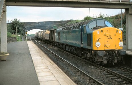 IMG_2188.jpeg IMG_2188.jpeg