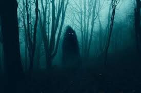 1698275585955.jpeg 1698275585955.jpeg