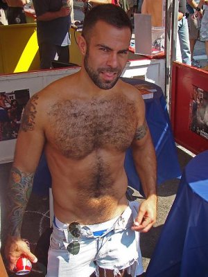 folsom street fair 2008.jpg