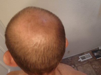 Back of man's head '10 (4).JPG