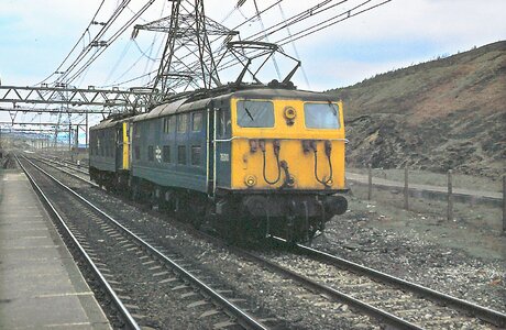 IMG_2259.jpeg IMG_2259.jpeg