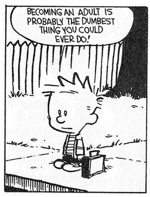 Calvin_Hobbes-04.jpg