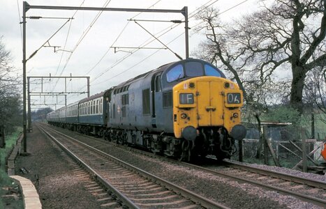 IMG_4118.jpeg IMG_4118.jpeg