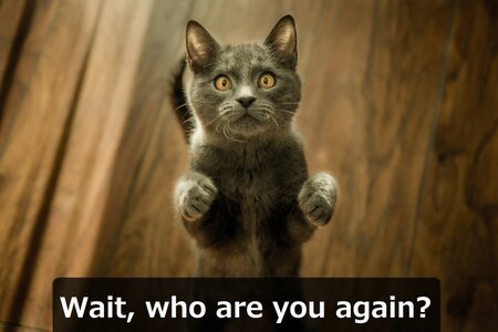 wait, who are you.jpg