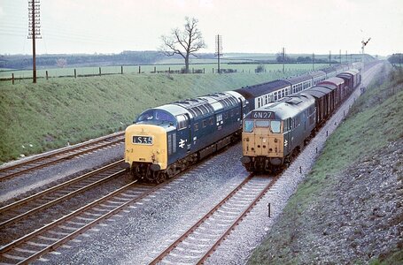 IMG_9494_Original.jpeg IMG_9494_Original.jpeg