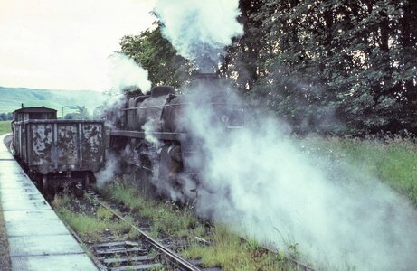 IMG_9545_Original.jpeg IMG_9545_Original.jpeg