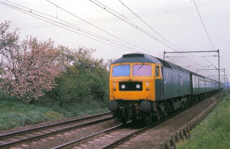 IMG_4119_Original.jpeg IMG_4119_Original.jpeg