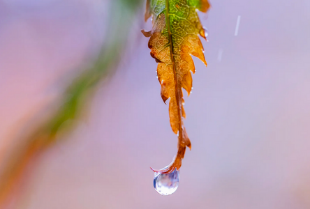 Screenshot 2023-11-02 at 20-29-43 Augenblicke Die Bilder des Tages im Oktober.png