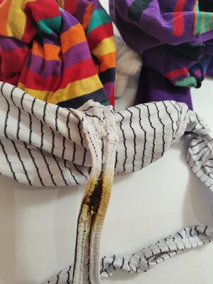 Used undies and socks #3.jpg