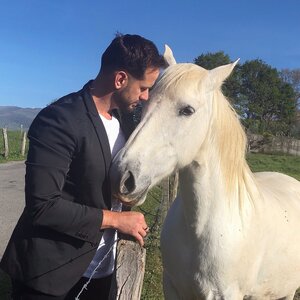 horse 2CE7FE3E-1D14-48.jpg