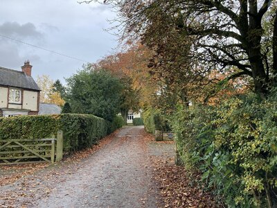 IMG_4754_Original.jpeg IMG_4754_Original.jpeg