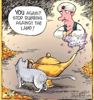 stop rubbing against lamp.jpg