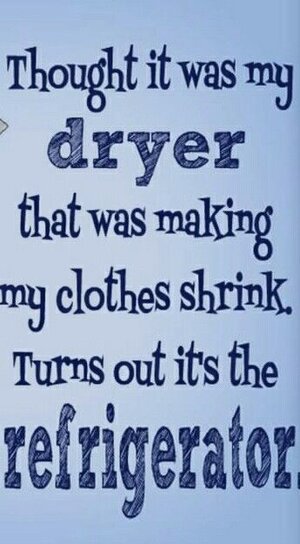 Refrigerator making clothes shrink.jpg