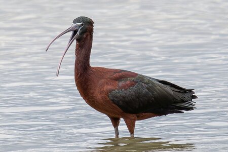 licensed-image (10).jpeg