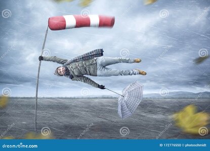 wind storm - man.jpg wind storm - man.jpg