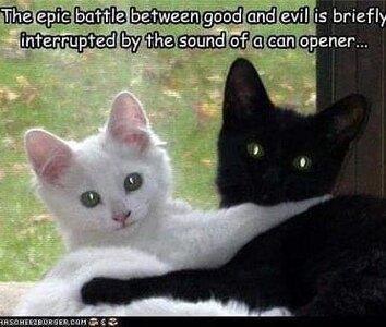 good vs evil interupted by can opener.jpg