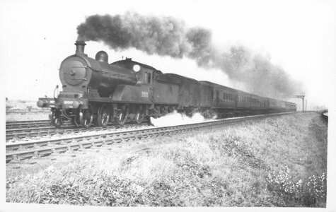 IMG_8707.jpeg IMG_8707.jpeg