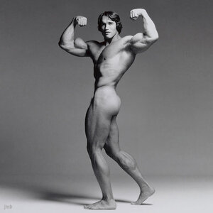 PotD_1816_FrancescoScavullo_Arnold Schwarzenegger jmb.jpg