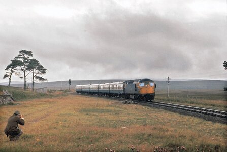 IMG_2374.jpeg IMG_2374.jpeg