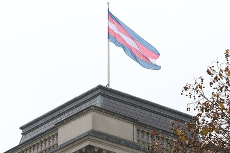 Transgender_Pride_Flag_(32097587768).jpg
