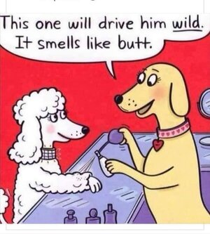 img_1_1700527463050 (1).jpg