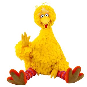 bigbird.jpg