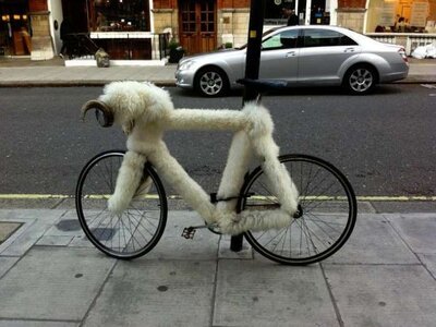 bike cover of wool.jpg bike cover of wool.jpg