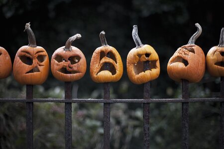 row-of-carved-pumpkins-impaled-on-fence-royalty-free-image-1635265200.jpg