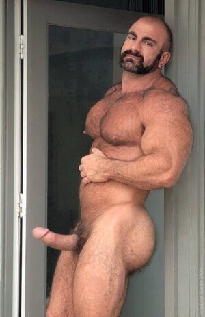 muscle bear porn.jpg