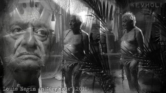 Louis Negin  Keyhole (2011) 2.jpg