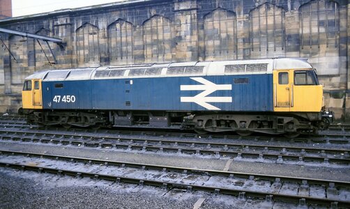 IMG_4404.jpeg IMG_4404.jpeg