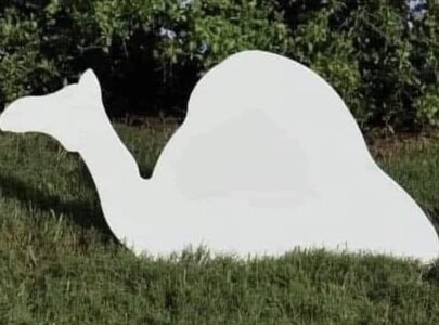 image1.jpg image1.jpg