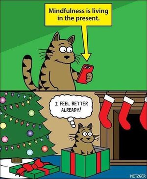 image1.jpg image1.jpg