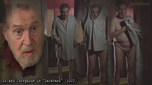 Erland Josephson in Saraband (2003).jpg