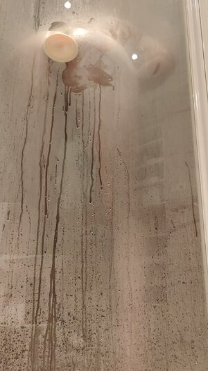 IMG_20231215_21543228.jpeg IMG_20231215_21543228.jpeg