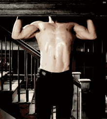 pullup-muscle.gif