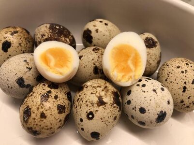 boiled-steamed-quail-eggs.jpg