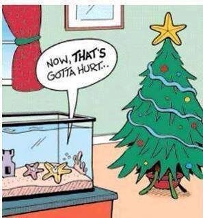 christmas tree star cartoon funny.jpg