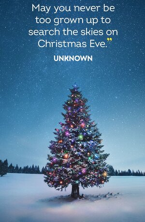 christmas-quotes-653fd3cfbfc65.jpg