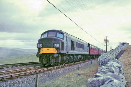 IMG_1295_Original.jpeg IMG_1295_Original.jpeg