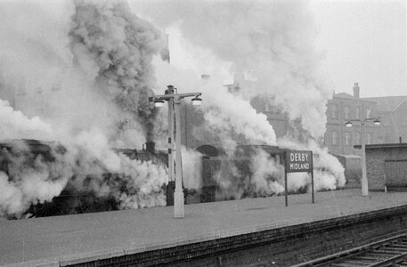 IMG_8856.jpeg IMG_8856.jpeg