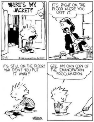 calvin.jpg