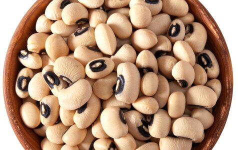 177030322-e1594658912760.jpg 177030322-e1594658912760.jpg