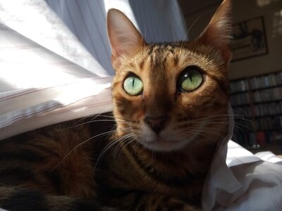 IMG_20220926_152037.jpg IMG_20220926_152037.jpg