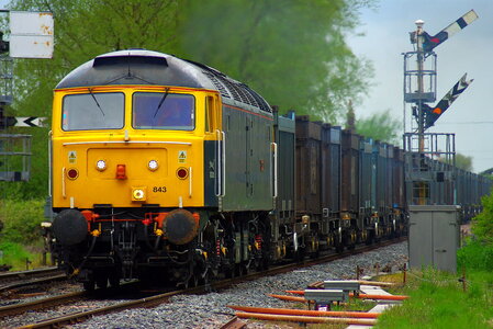 IMG_2572.jpeg IMG_2572.jpeg