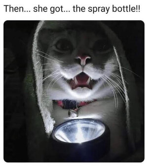 Spray Bottle.jpg