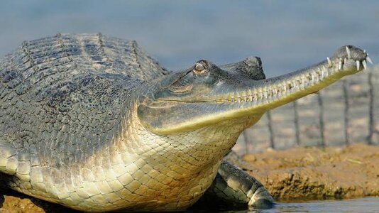 images - 2023-12-29T225710.171.jpeg